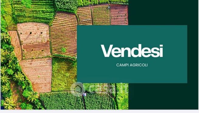 Terreno agricolo in commerciale in Via Bovazecchino