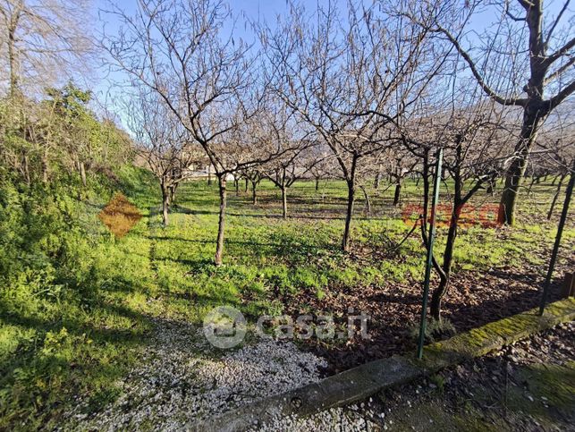 Terreno agricolo in commerciale in Via Corticelle 40