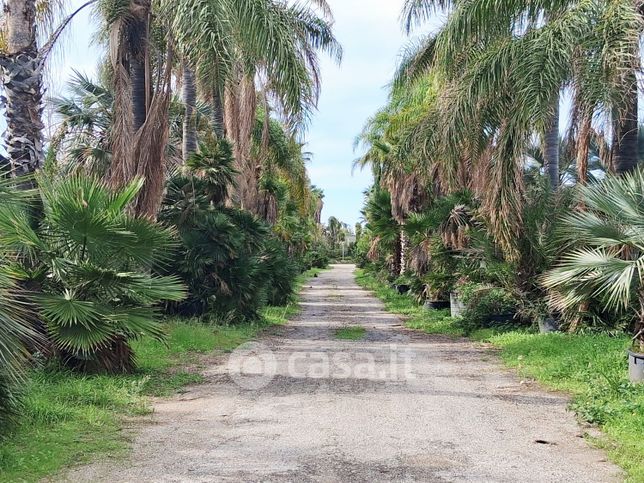Terreno agricolo in commerciale in Contrada Gaddimeli