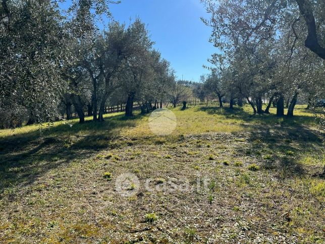 Terreno agricolo in commerciale in 