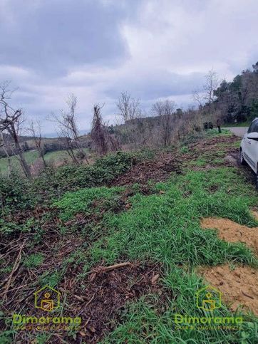 Terreno agricolo in commerciale in Strada Provinciale 44