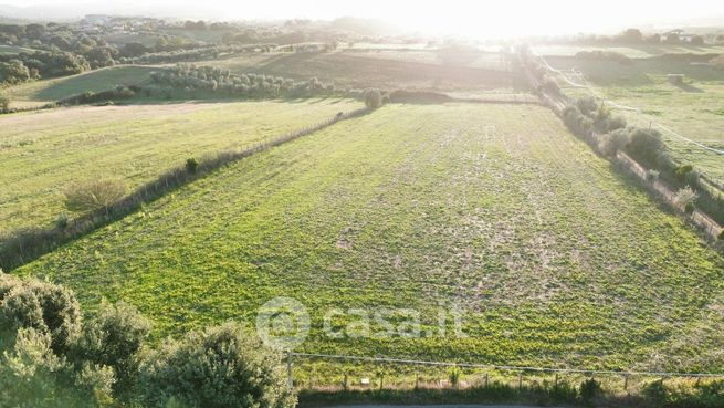 Terreno agricolo in commerciale in Via Lena e Massa