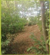 Terreno agricolo in commerciale in Strada Statale 73 Senese Aretina