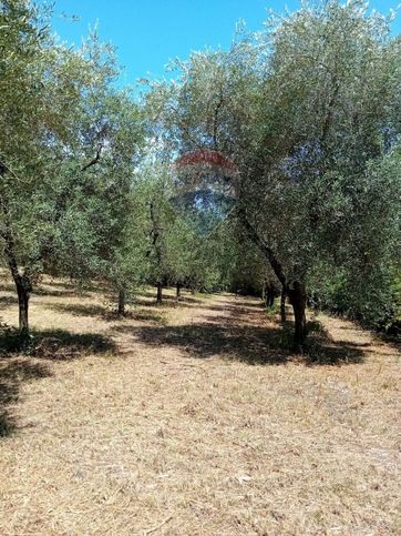 Terreno agricolo in commerciale in