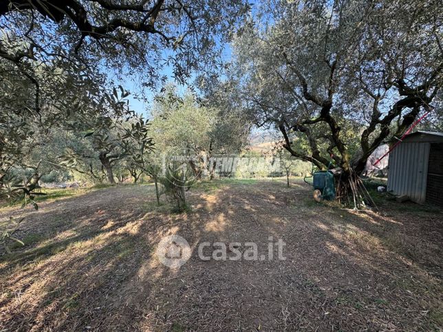 Terreno agricolo in commerciale in Contrada Mezzavia 1