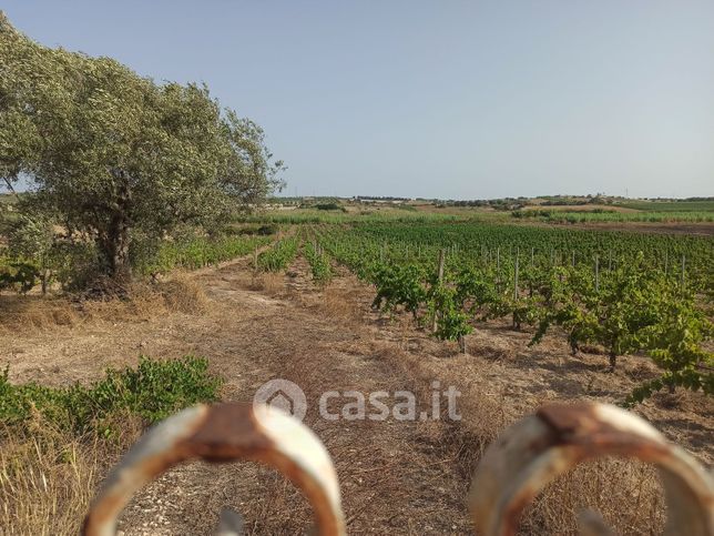 Terreno agricolo in commerciale in maccari