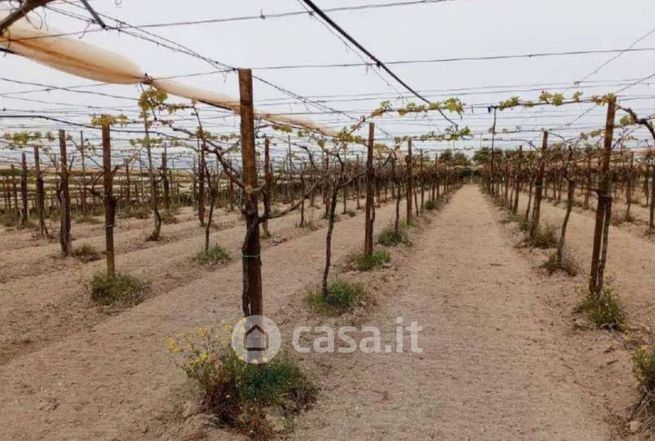 Terreno agricolo in commerciale in Strada Comunale Retina La Corsa