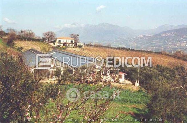 Terreno edificabile in residenziale in Contrada Corte