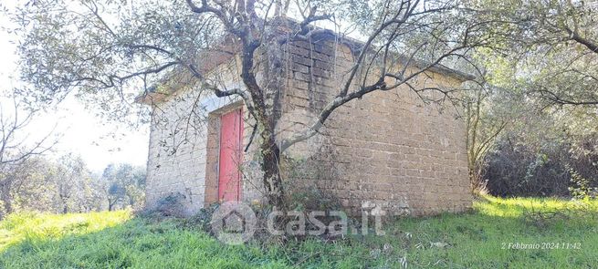 Terreno agricolo in commerciale in 