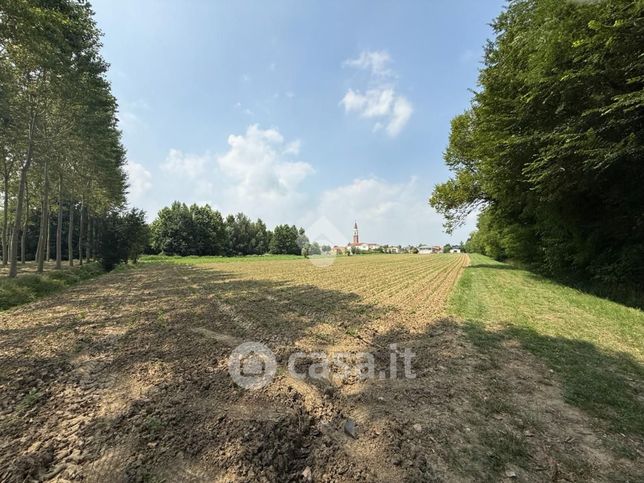 Terreno agricolo in commerciale in Via Bigolo
