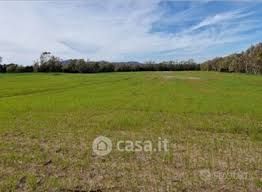 Terreno agricolo in commerciale in Strada Corletto Sud 330