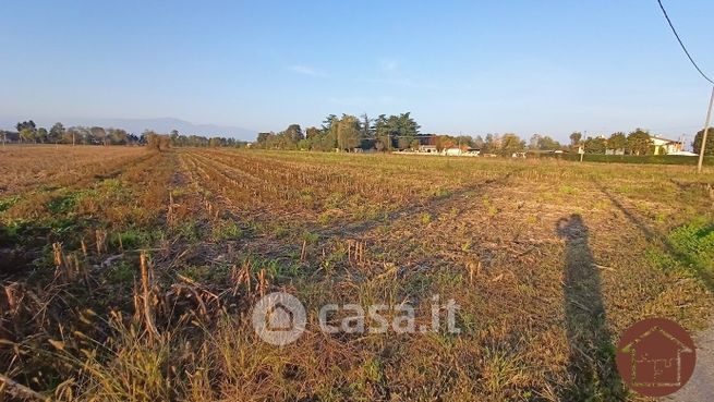 Terreno agricolo in commerciale in Via Alberoni