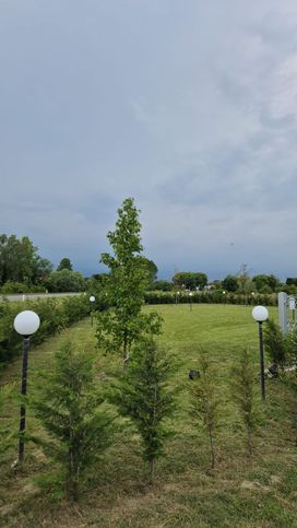 Terreno agricolo in commerciale in Via Canarini