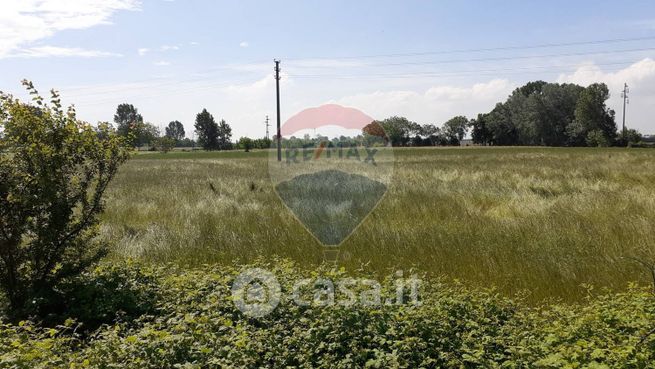 Terreno agricolo in commerciale in Viale Italia