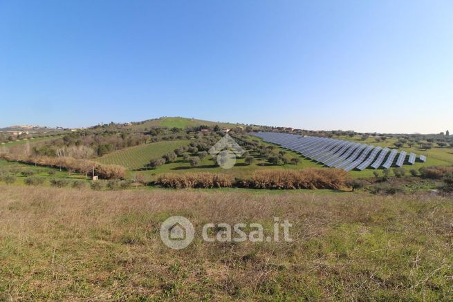 Terreno agricolo in commerciale in Via Paduni 1