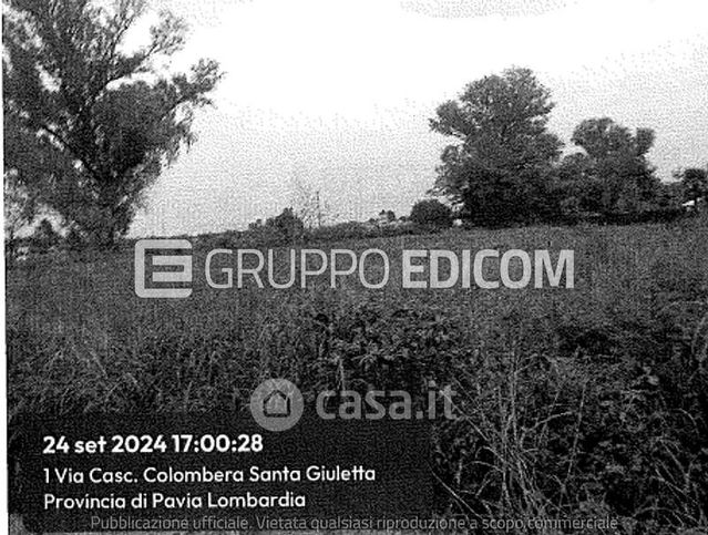 Terreno agricolo in commerciale in Strada del Siccomario