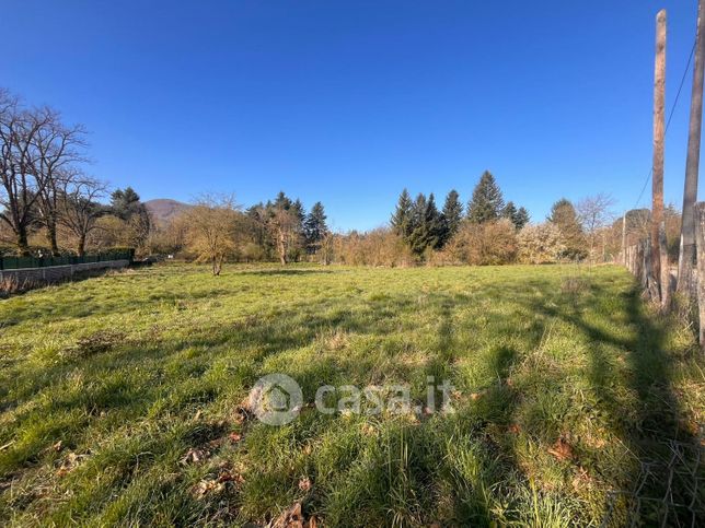 Terreno agricolo in commerciale in Strada Provinciale 215 Tuscolana