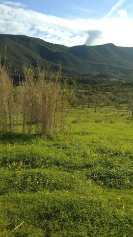 Terreno agricolo in commerciale in 