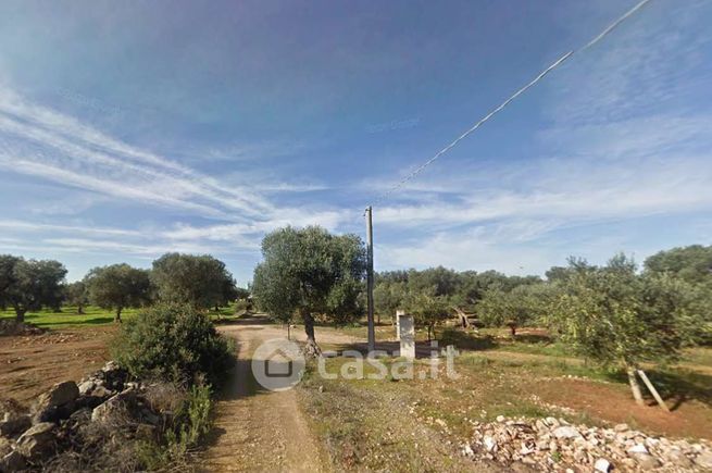 Terreno agricolo in commerciale in Traversa 336ª