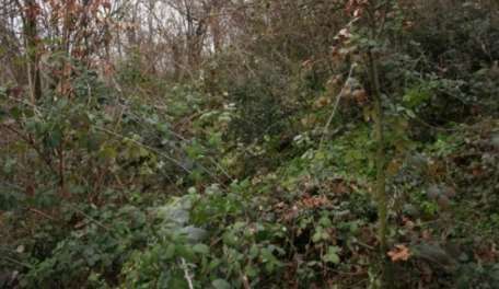 Terreno agricolo in commerciale in Via San Giovanni Battista