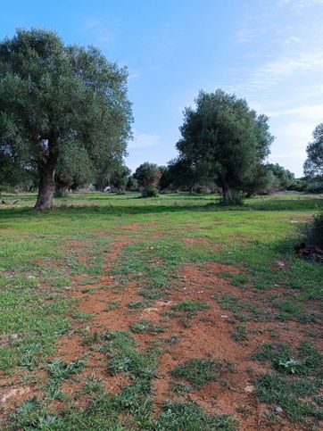 Terreno agricolo in commerciale in Strada Provinciale 134