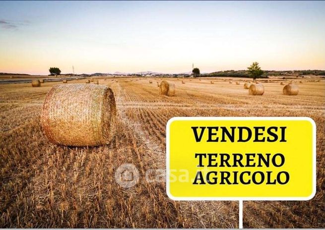 Terreno agricolo in commerciale in Via della Provvidenza