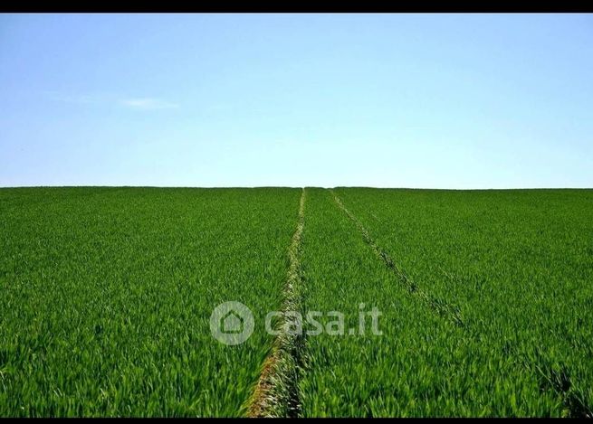 Terreno agricolo in commerciale in 