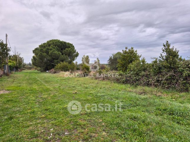 Terreno agricolo in commerciale in Località San Giorgio