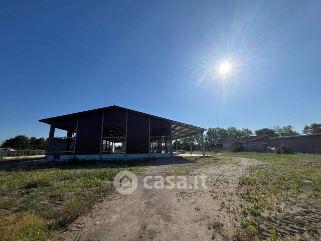 Capannone in commerciale in Viale Maria