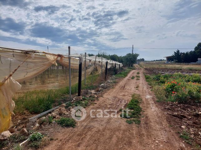 Terreno agricolo in commerciale in Strada provinciale 165 per conversano