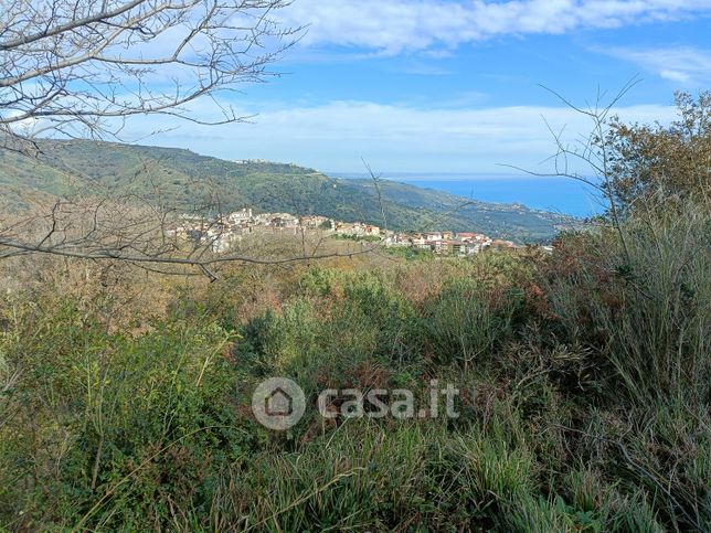 Terreno agricolo in commerciale in Strada Provinciale 116