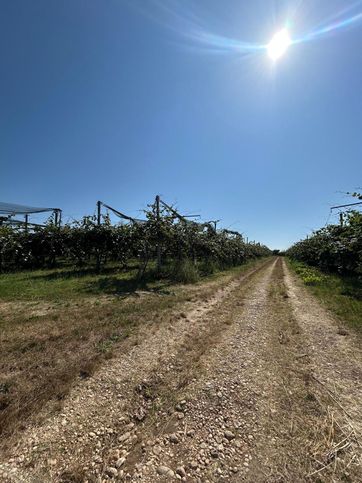 Terreno agricolo in commerciale in Contrada aquilano