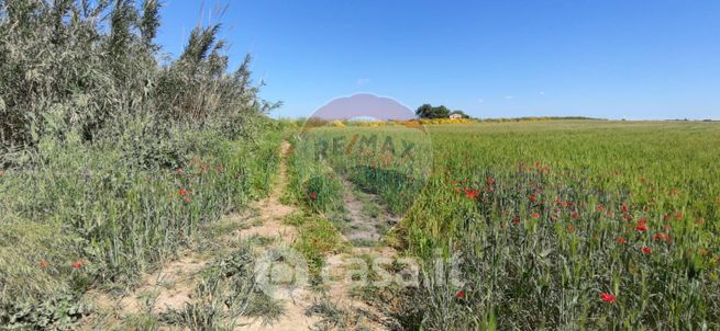 Terreno agricolo in commerciale in 