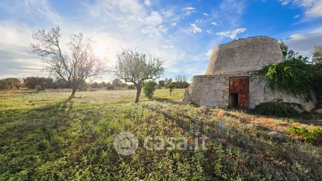 Terreno agricolo in commerciale in Strada Donno Santo