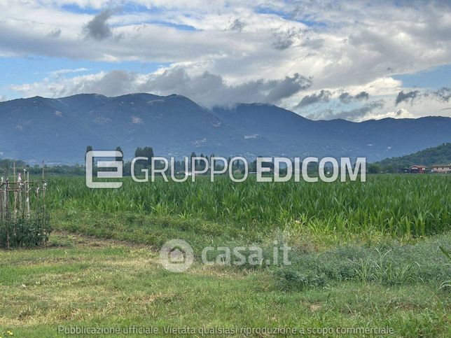 Terreno agricolo in commerciale in Via Comunali