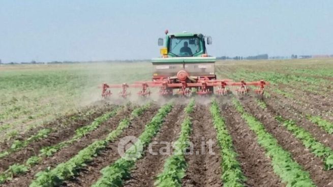 Terreno agricolo in commerciale in Via Antonio e Nicolò Beccari