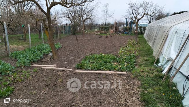 Terreno agricolo in commerciale in Strada Ronchi