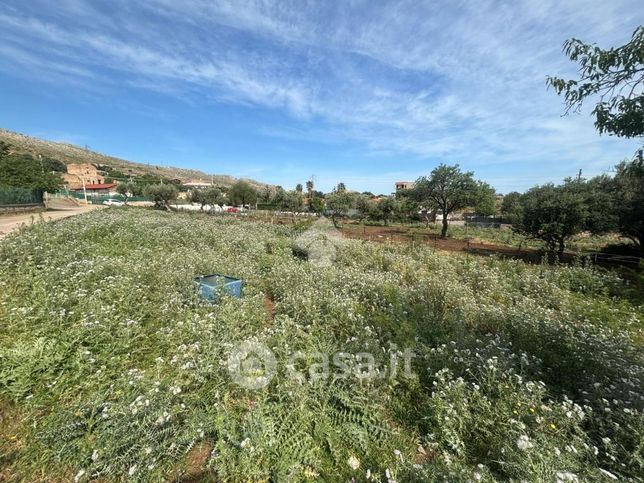 Terreno agricolo in commerciale in Via Luoghicelli