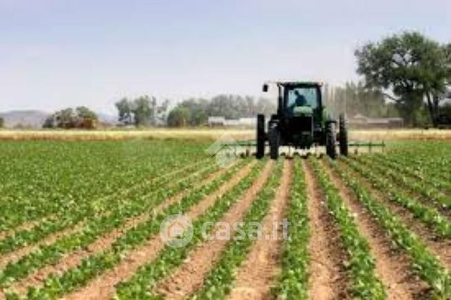 Terreno agricolo in commerciale in Via Guglielmo Ghislandi