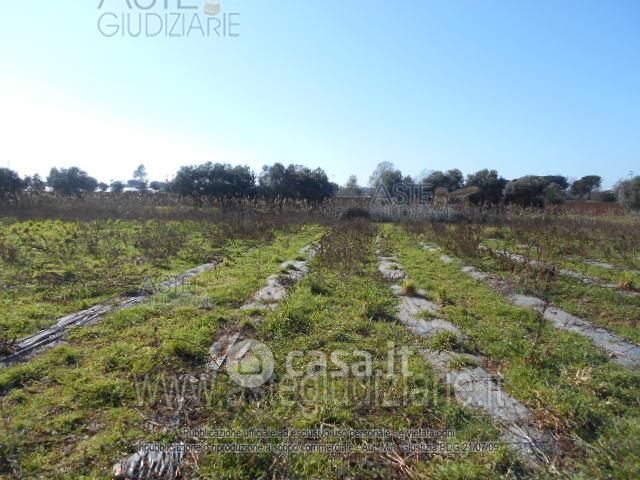 Terreno agricolo in commerciale in 