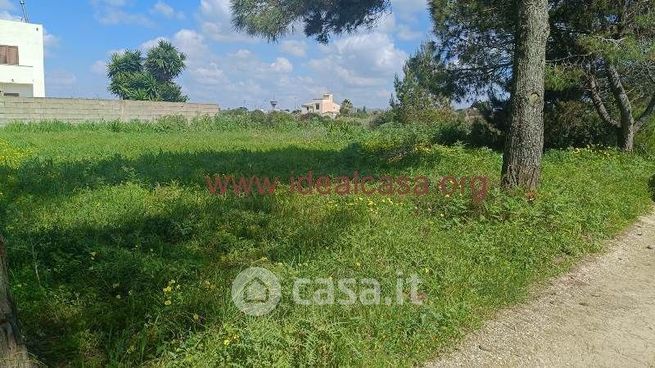 Terreno agricolo in commerciale in 