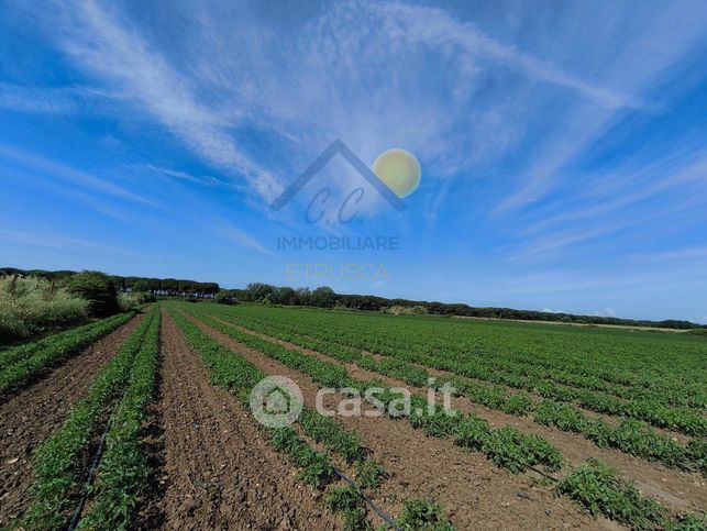 Terreno agricolo in commerciale in Strada delle Murelle