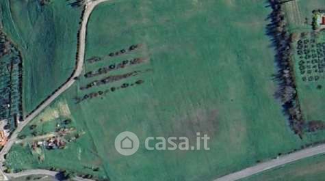 Terreno agricolo in commerciale in Strada Provinciale Palaiese