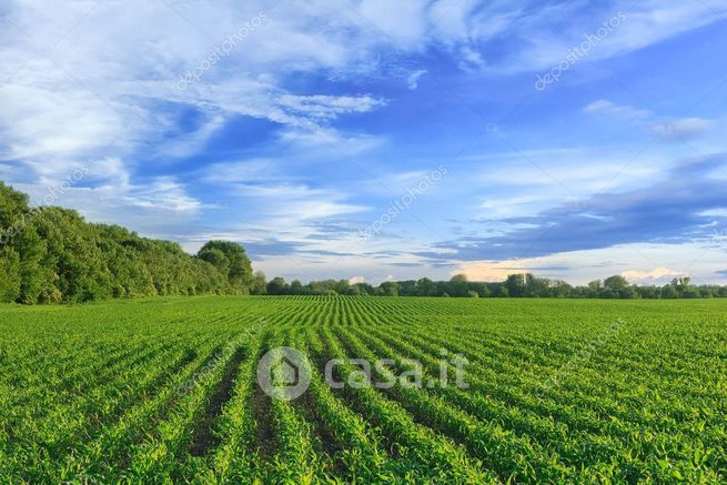 Terreno agricolo in commerciale in 