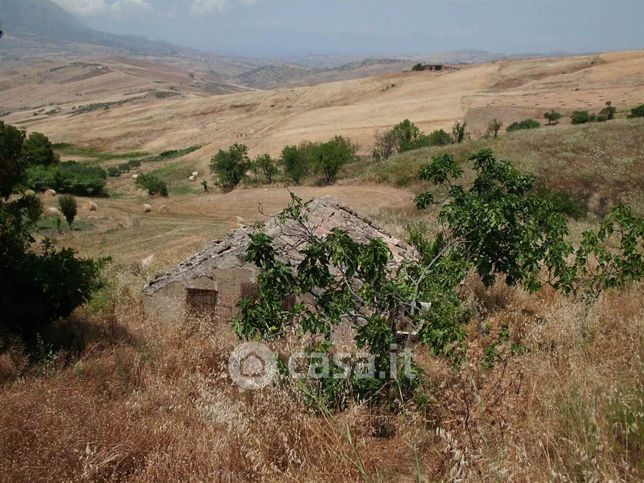 Terreno agricolo in commerciale in Strada Provinciale 117