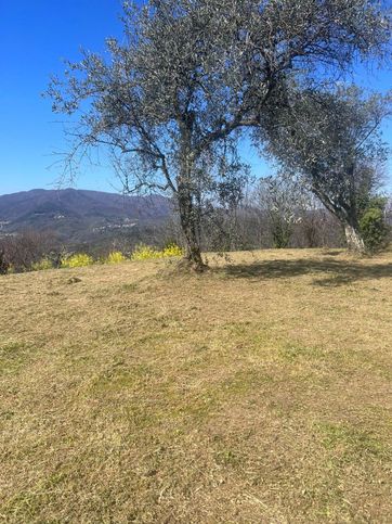 Terreno agricolo in commerciale in Via Vincinella