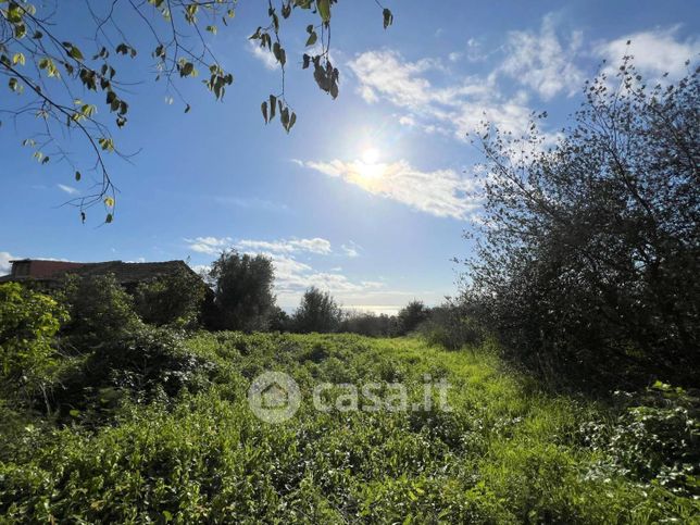 Terreno agricolo in commerciale in Via Cristoforo Colombo