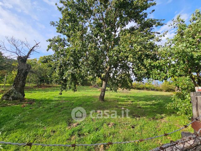 Terreno agricolo in commerciale in Strada romana