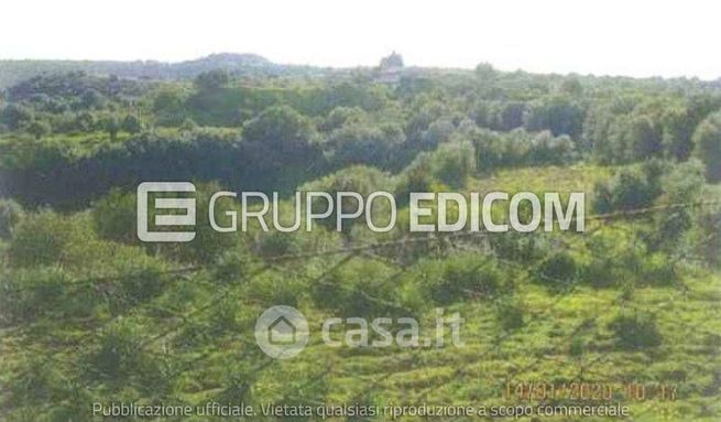 Terreno agricolo in commerciale in Via della Scogliera