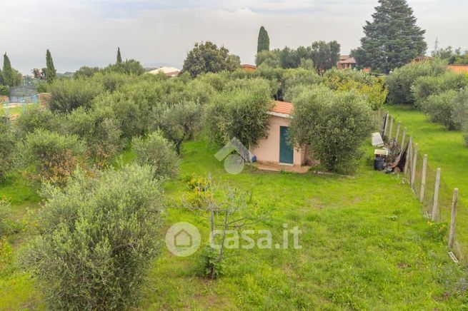 Terreno agricolo in commerciale in Via Vigne di Collereti 16